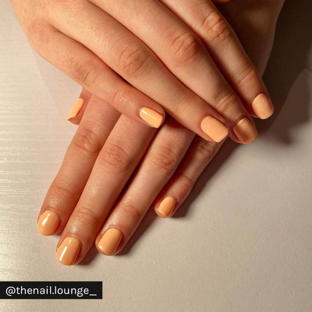 Orange Sherbet - Image 7